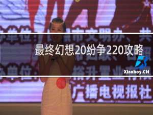 最终幻想 纷争2 攻略