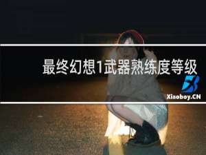 最终幻想1武器熟练度等级