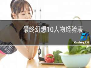 最终幻想10人物经验表