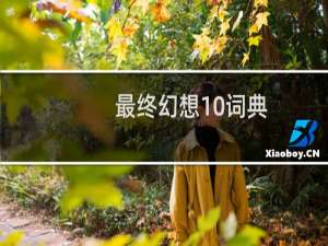 最终幻想10词典