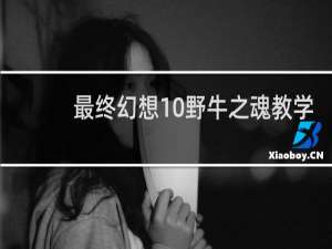 最终幻想10野牛之魂教学