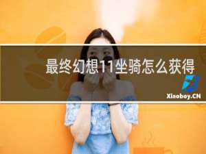 最终幻想11坐骑怎么获得