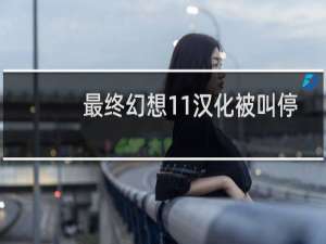 最终幻想11汉化被叫停