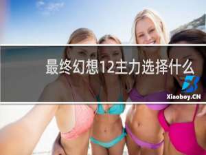 最终幻想12主力选择什么