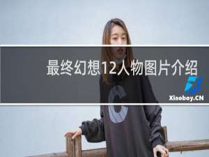 最终幻想12人物图片介绍