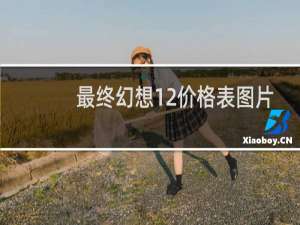 最终幻想12价格表图片