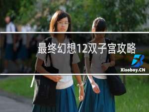 最终幻想12双子宫攻略