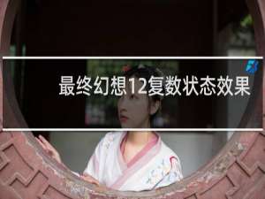 最终幻想12复数状态效果