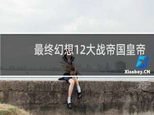 最终幻想12大战帝国皇帝