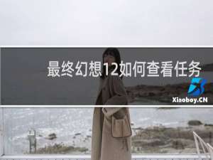 最终幻想12如何查看任务