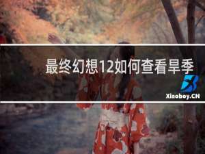 最终幻想12如何查看旱季