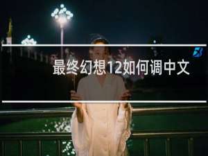 最终幻想12如何调中文