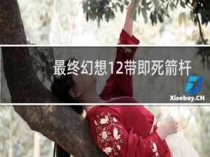 最终幻想12带即死箭杆