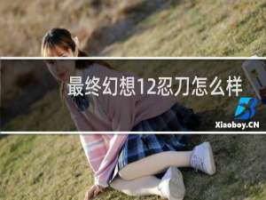 最终幻想12忍刀怎么样
