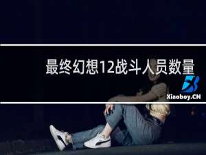 最终幻想12战斗人员数量