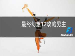 最终幻想12攻略男主