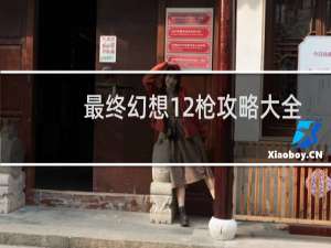 最终幻想12枪攻略大全