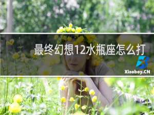 最终幻想12水瓶座怎么打