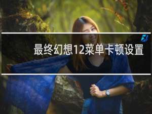 最终幻想12菜单卡顿设置