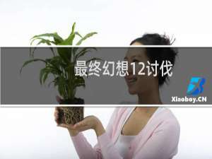 最终幻想12讨伐