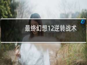 最终幻想12逆转战术