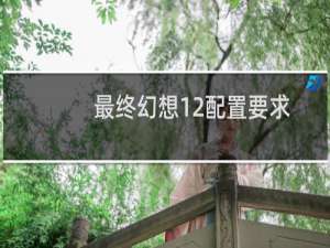 最终幻想12配置要求