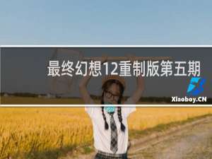 最终幻想12重制版第五期