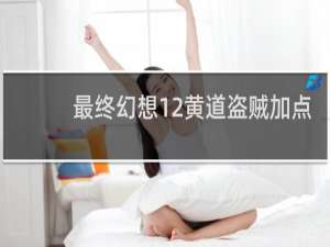 最终幻想12黄道盗贼加点