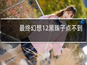 最终幻想12黑珠子点不到