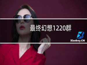 最终幻想12 群
