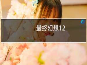 最终幻想12 障碍状态