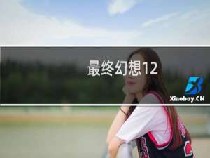 最终幻想12.