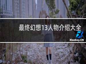 最终幻想13人物介绍大全