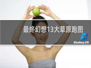 最终幻想13大草原跑图