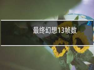 最终幻想13帧数