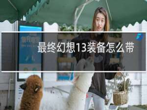 最终幻想13装备怎么带