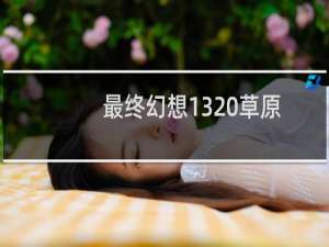 最终幻想13 草原