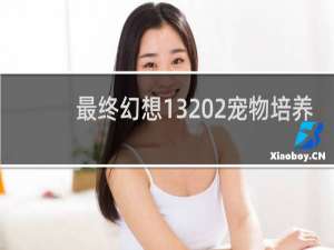最终幻想13 2宠物培养