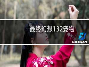 最终幻想132宠物