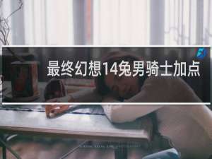 最终幻想14兔男骑士加点