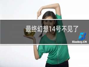 最终幻想14号不见了