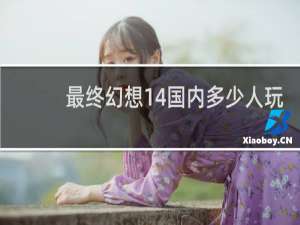 最终幻想14国内多少人玩