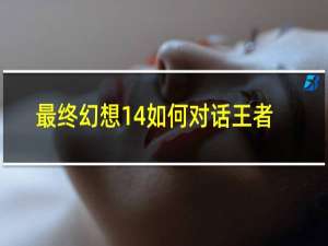 最终幻想14如何对话王者