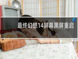 最终幻想14屏幕黑屏重启