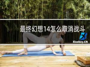 最终幻想14怎么取消战斗