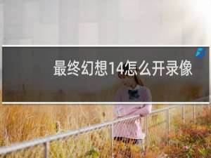 最终幻想14怎么开录像