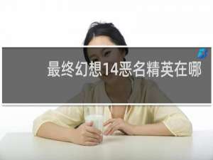 最终幻想14恶名精英在哪