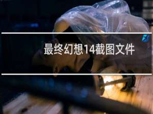 最终幻想14截图文件