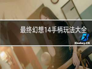 最终幻想14手柄玩法大全