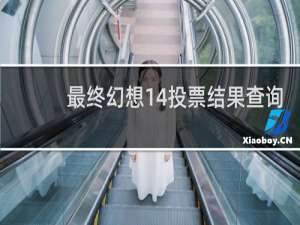 最终幻想14投票结果查询